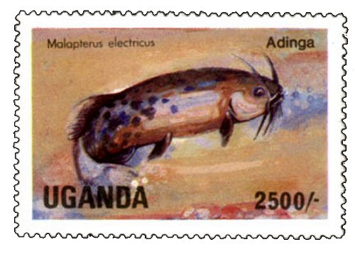 Catfish Stamp = Malapterurus electricus