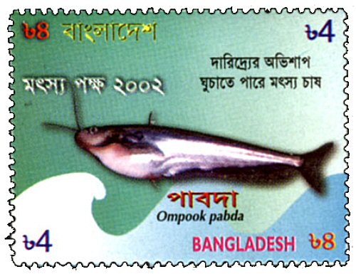 Catfish Stamp = Ompok pabda