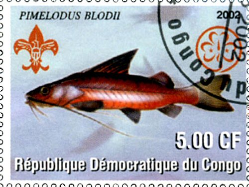 Catfish Stamp = Pimelodus blochii 