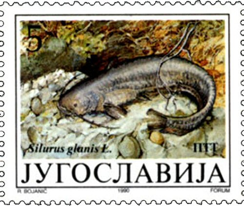 Catfish Stamp = Silurus glanis