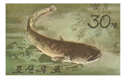 Catfish Stamp = Silurus asotus