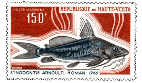 Synodontis arnoulti = Catfish Stamp