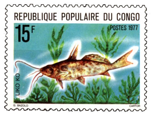 Synodontis alberti  = Catfish Stamp