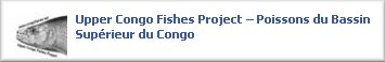 The Upper Congo Project